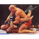 Georges St. Pierre UFC Championship Fight vs Alves Horizontal 8x10 Photo ()