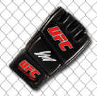 GEORGES ST. PIERRE SIGNED UFC Fight Model GLOVE