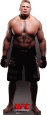 UFC - Brock Lesnar