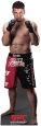 Frank Mir - UFC