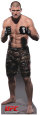 Michael Bisping - UFC