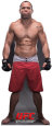 Wanderlei Silva - UFC
