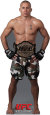 UFC - Georges St Pierre