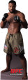 UFC - Rashad Evans