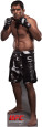 Antonio Nogueira - UFC