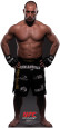 Matt Serra - UFC