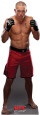 George St. Pierre - UFC