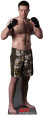 Stephan Bonnar - UFC