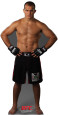 Junior dos Santos - UFC