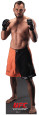 Rich Franklin - UFC