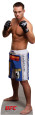 Jake Shields - UFC