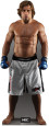 Urijah Faber - UFC