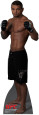 Thiago Alves - UFC