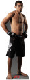Jose Aldo - UFC