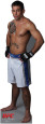 Joe Brammer - UFC