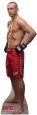 Mark Hominik - UFC