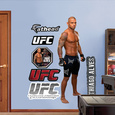 UFC Thiago Alves