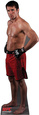 Chael Sonnen - UFC Lifesize Standup
