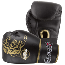 Hayabusa Muay Thai Gloves