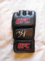 Brock Lesnar signed UFC MMA glove
