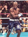 Antonio Tarver Ibf Light Heavyweight Champ Signed