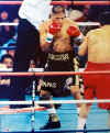 Fernando Vargas Autographed Picture - 16x20 PSA DNA #T14861
